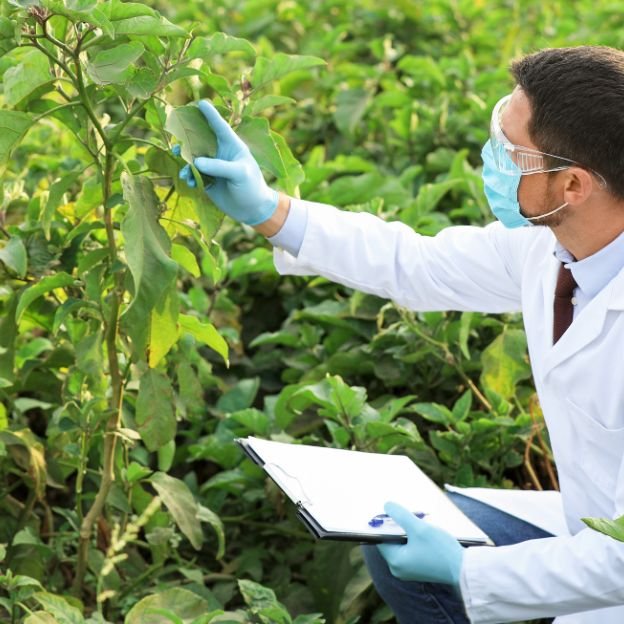 Proyectos Ingeniería Industrial biotecnológicos Oviedo Asturias
