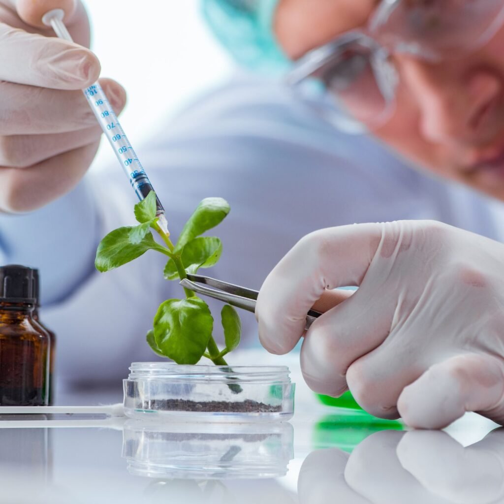 Proyectos Ingeniería Industrial biotecnológicos Oviedo Asturias